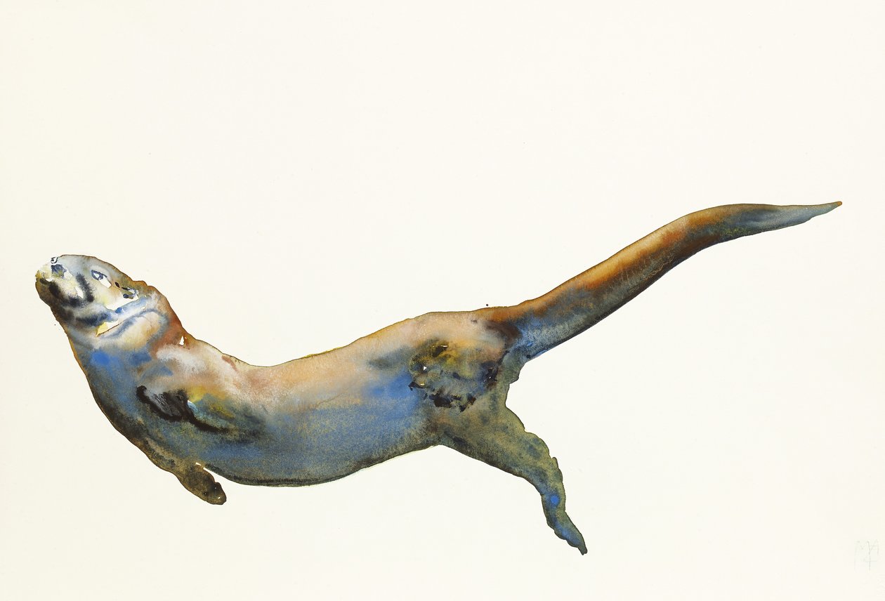 Fluweel, 2014 door Mark Adlington