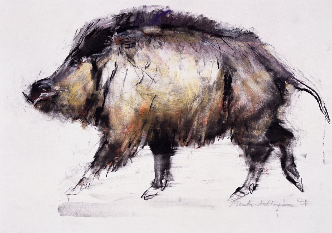 Wild Zwijn, 1999 door Mark Adlington