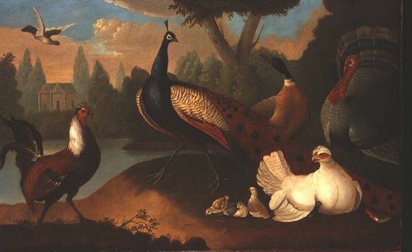 Landschap met verschillende vogels door Marmaduke Craddock