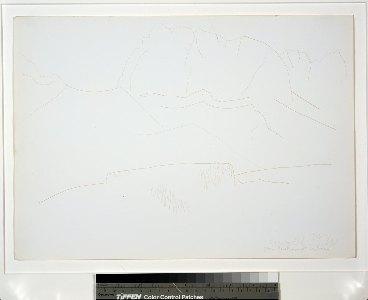 Berglandschap met bomen door Marsden Hartley