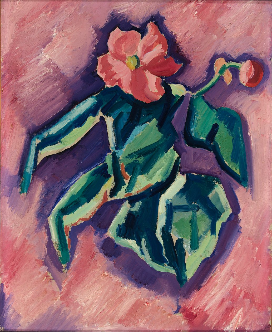Rosa Begonien door Marsden Hartley