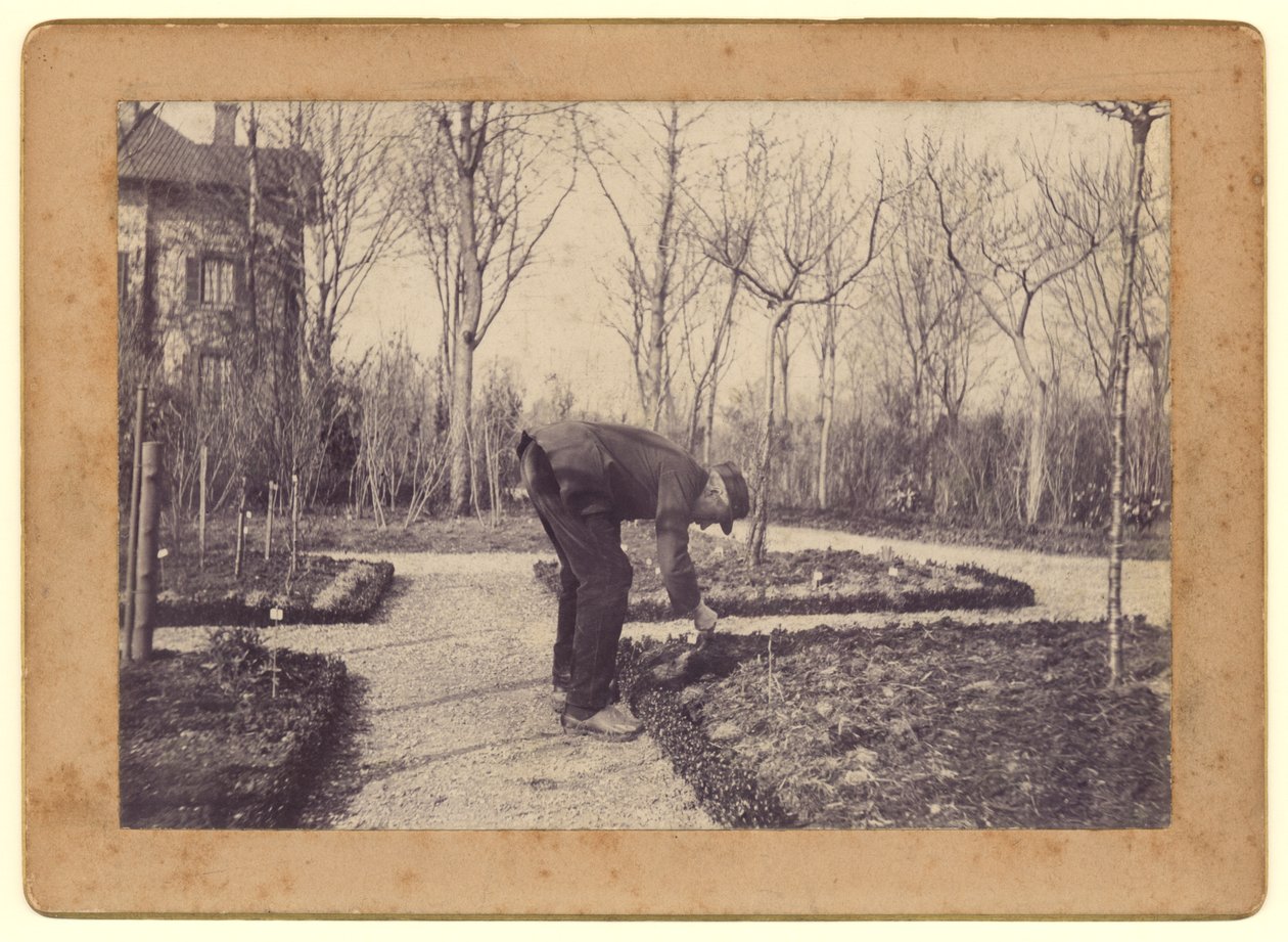 Gustave Caillebotte (1848-94) tuinierend in Petit Gennevilliers, februari 1892 door Martial Caillebotte