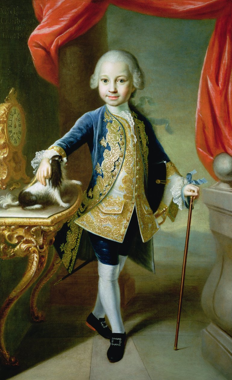 Portret van een Jongen met Huisdier Spaniel, 18e eeuw door Martin II Mytens or Meytens
