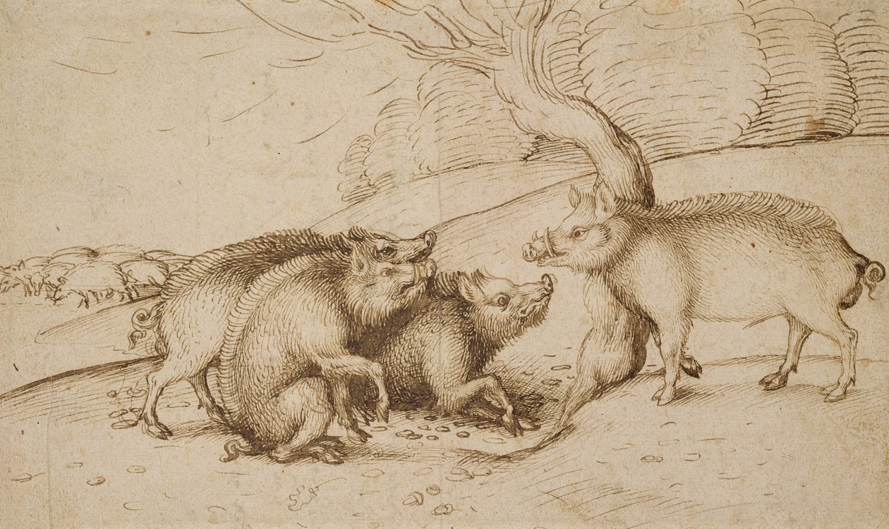 De Zwijnenfamilie door Martin Schongauer
