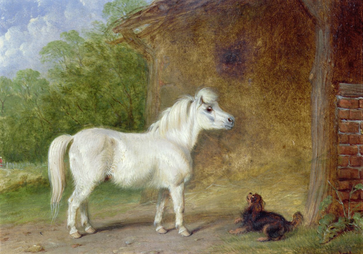 Een Shetlandpony en een King Charles-spaniël door Martin Theodore Ward