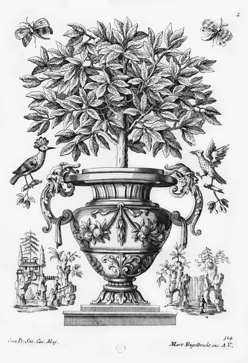 Citrusbomen, ca. 1735 door Martin Engelbrecht