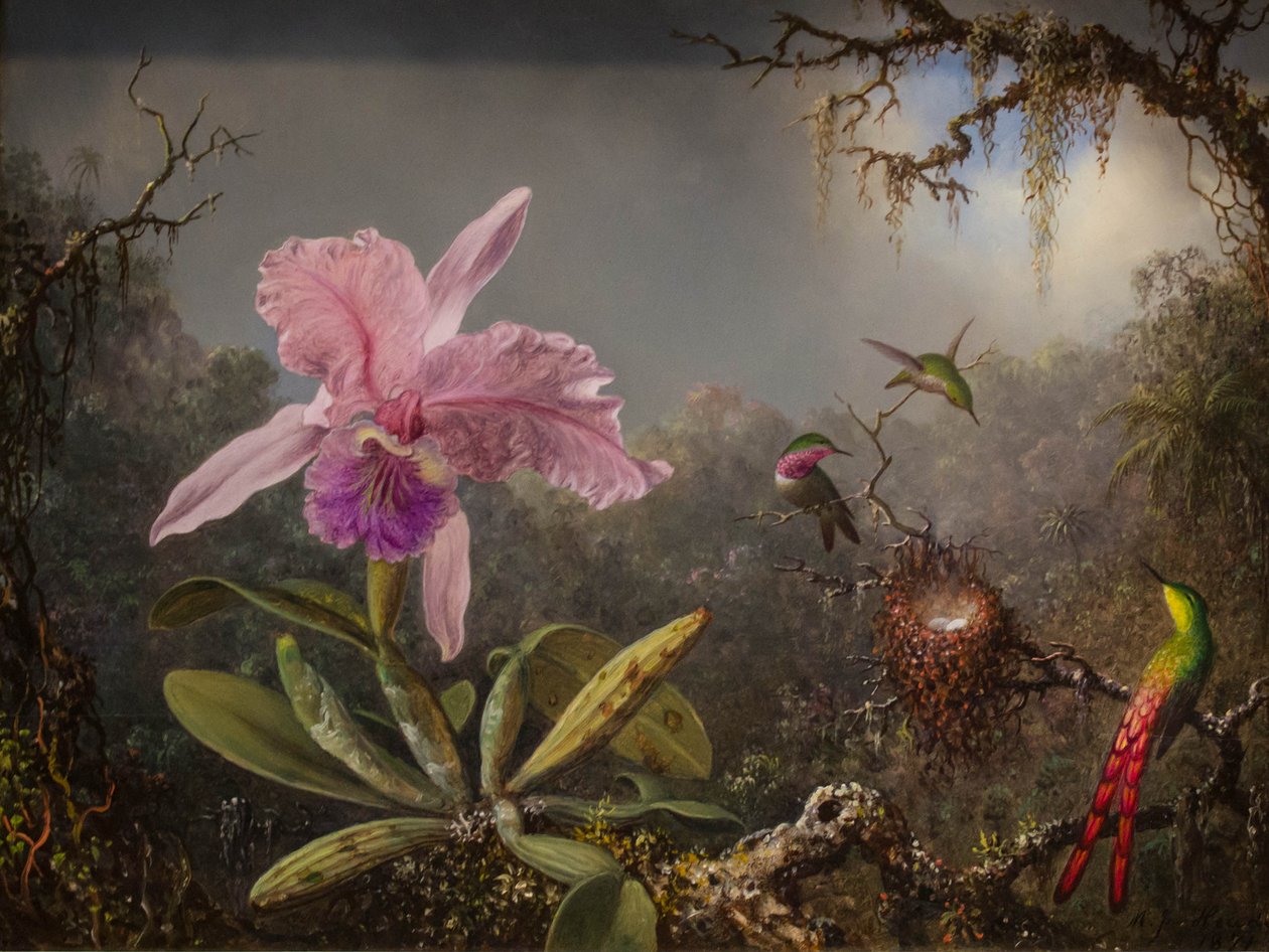 Cattelya Orchidee en drie Braziliaanse kolibries door Martin Johnson Heade