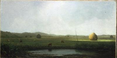 Moerasscène: Vee bij een hooizadel door Martin Johnson Heade