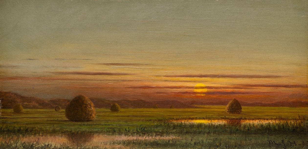 Moerasland door Martin Johnson Heade
