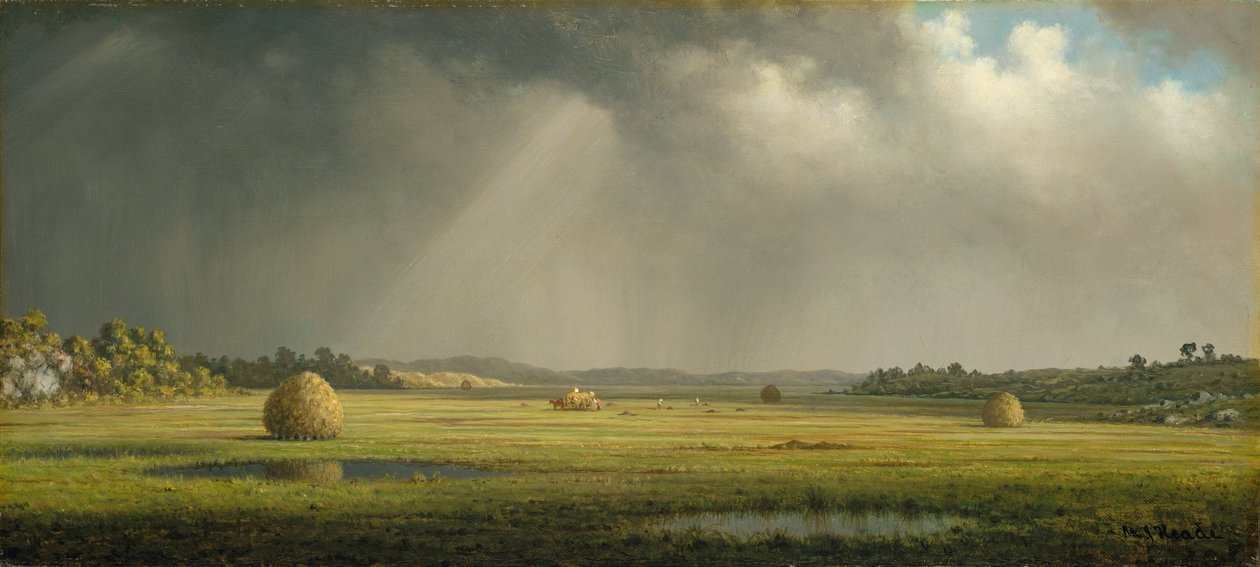 Newburyport Weiden door Martin Johnson Heade