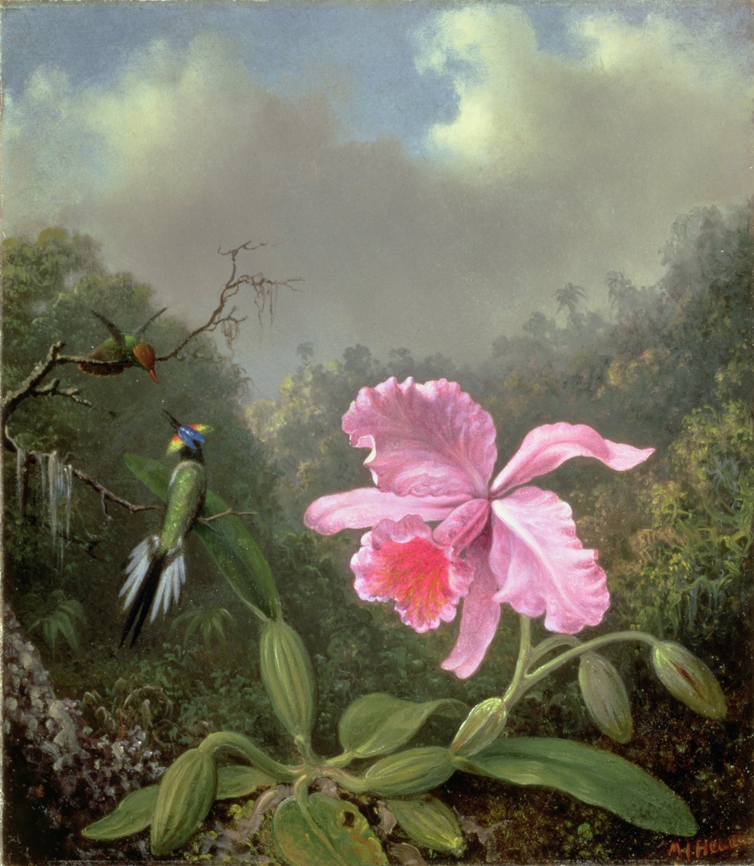 Stilleven met een Orchidee en een Paar Kolibries, ca. 1890s door Martin Johnson Heade