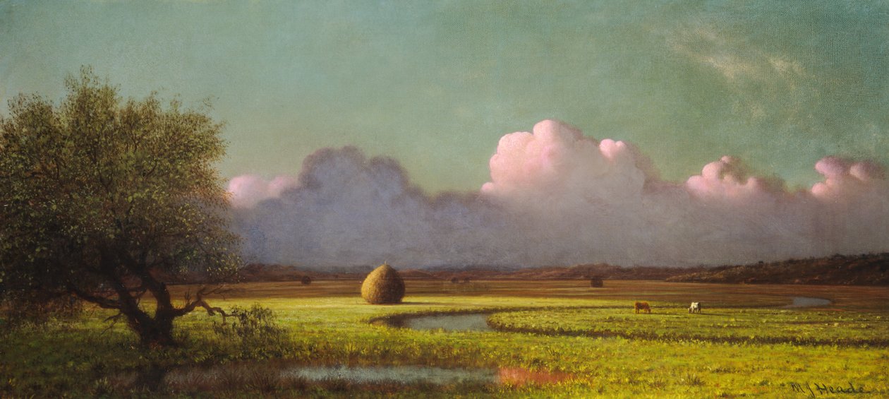 Zonlicht en schaduw: de Newbury Marshes door Martin Johnson Heade