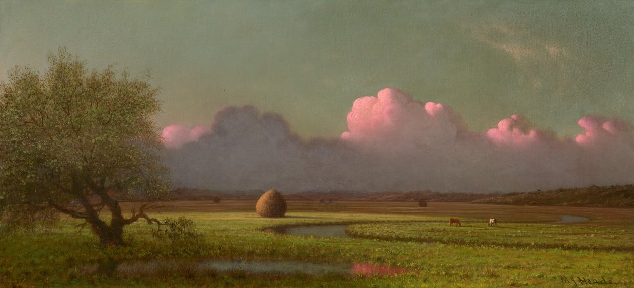  door Martin Johnson Heade