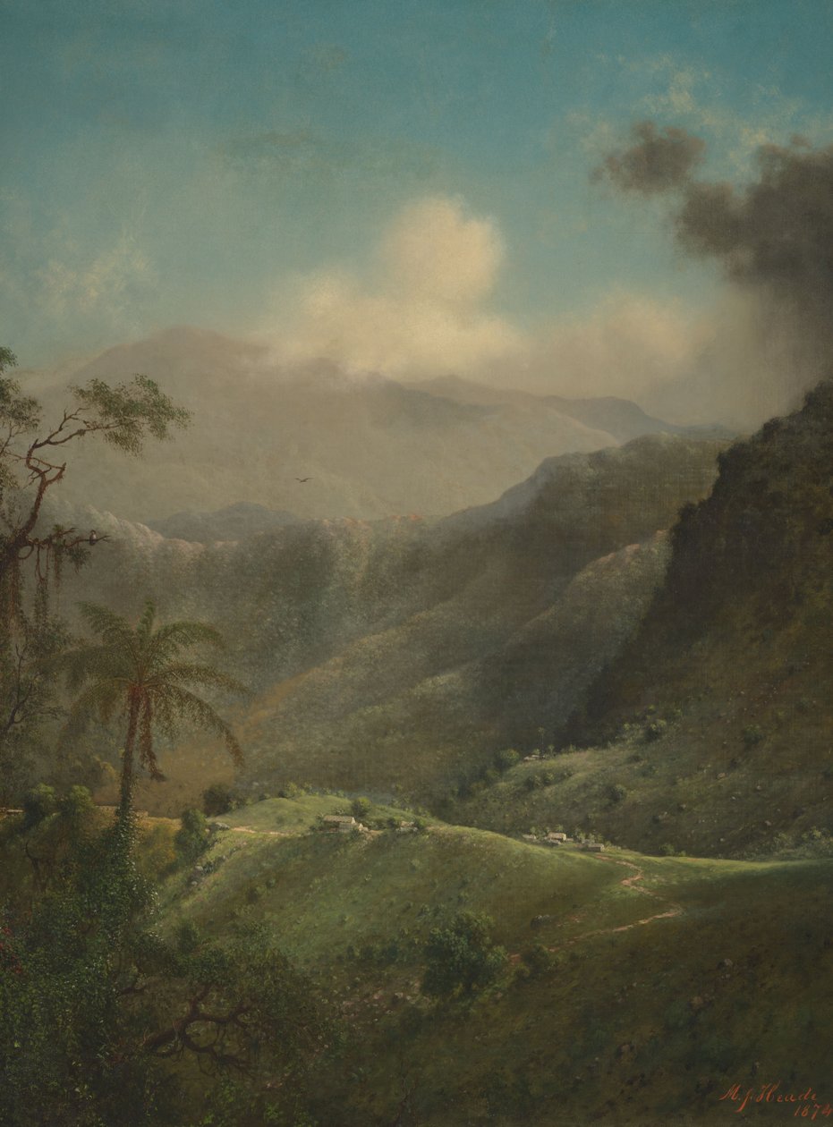 Tropische hooglanden door Martin Johnson Heade