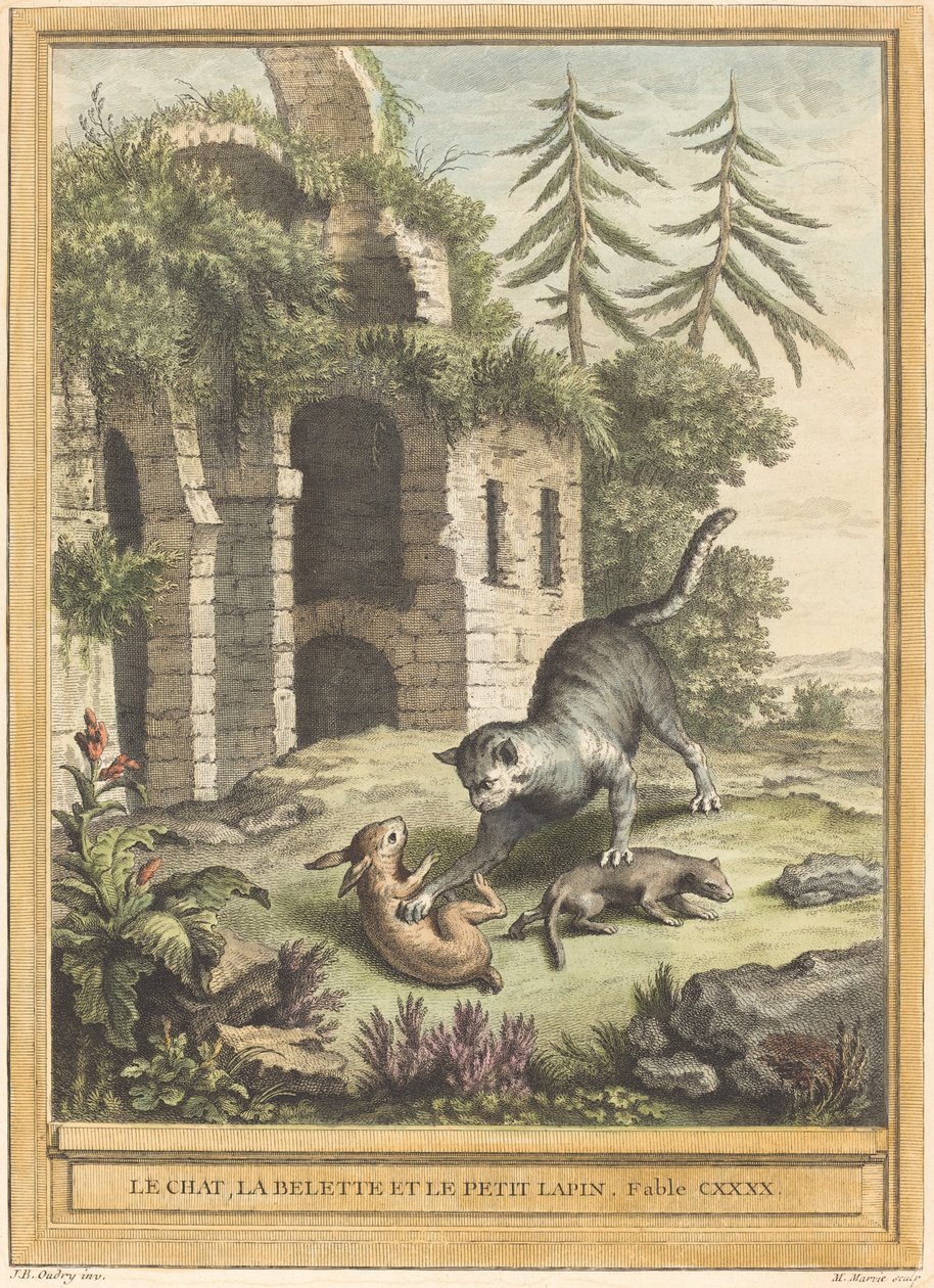 De kat, de wezel en het konijn door Martin Marvie after Jean Baptiste Oudry