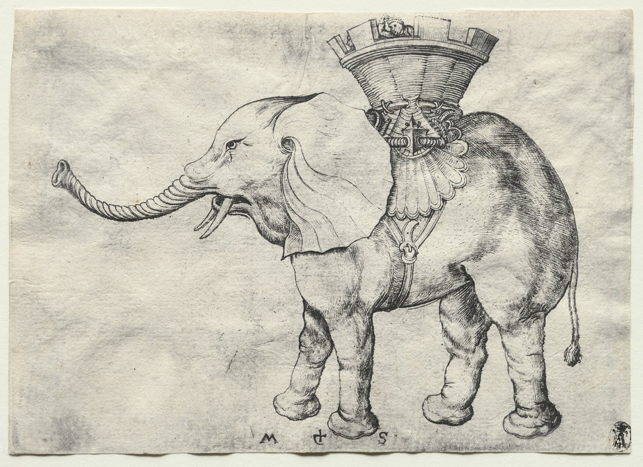 Een Olifant met Howdah door Martin Schongauer
