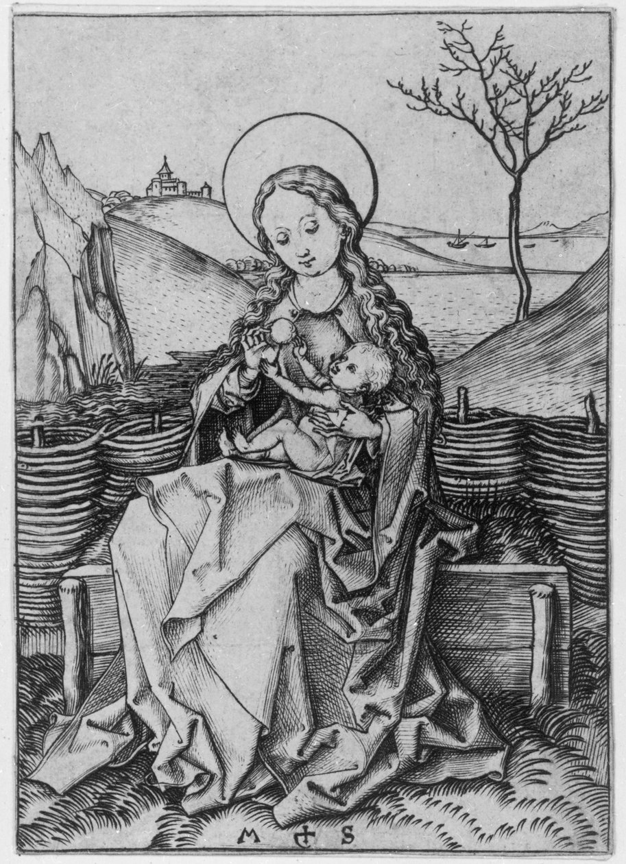 Madonna op de grasbank door Martin Schongauer
