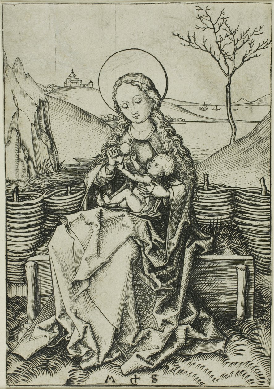 De Madonna met kind op een grasbank door Martin Schongauer