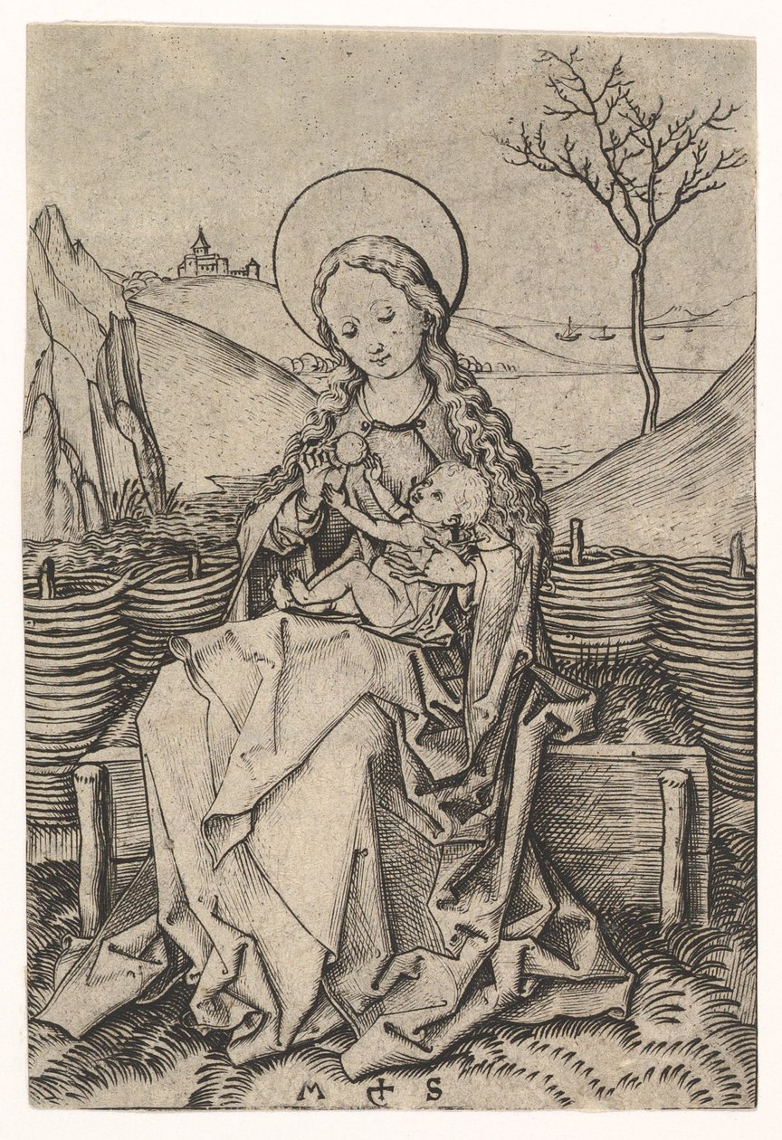 Maagd en kind op een grasbank door Martin Schongauer