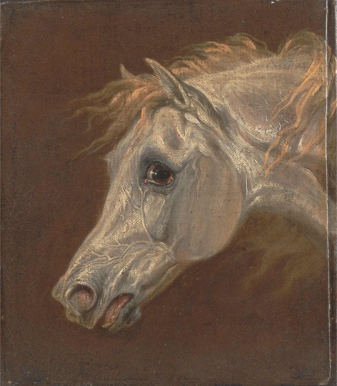 Hoofd van een grijze Arabische hengst door Martin Theodore Ward
