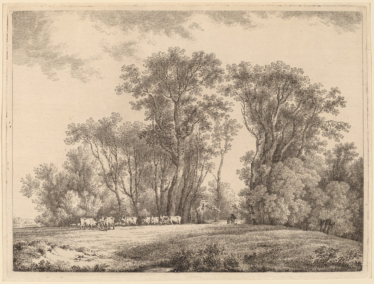 Een weide met vee aan de rand van een bos door Martin von Molitor