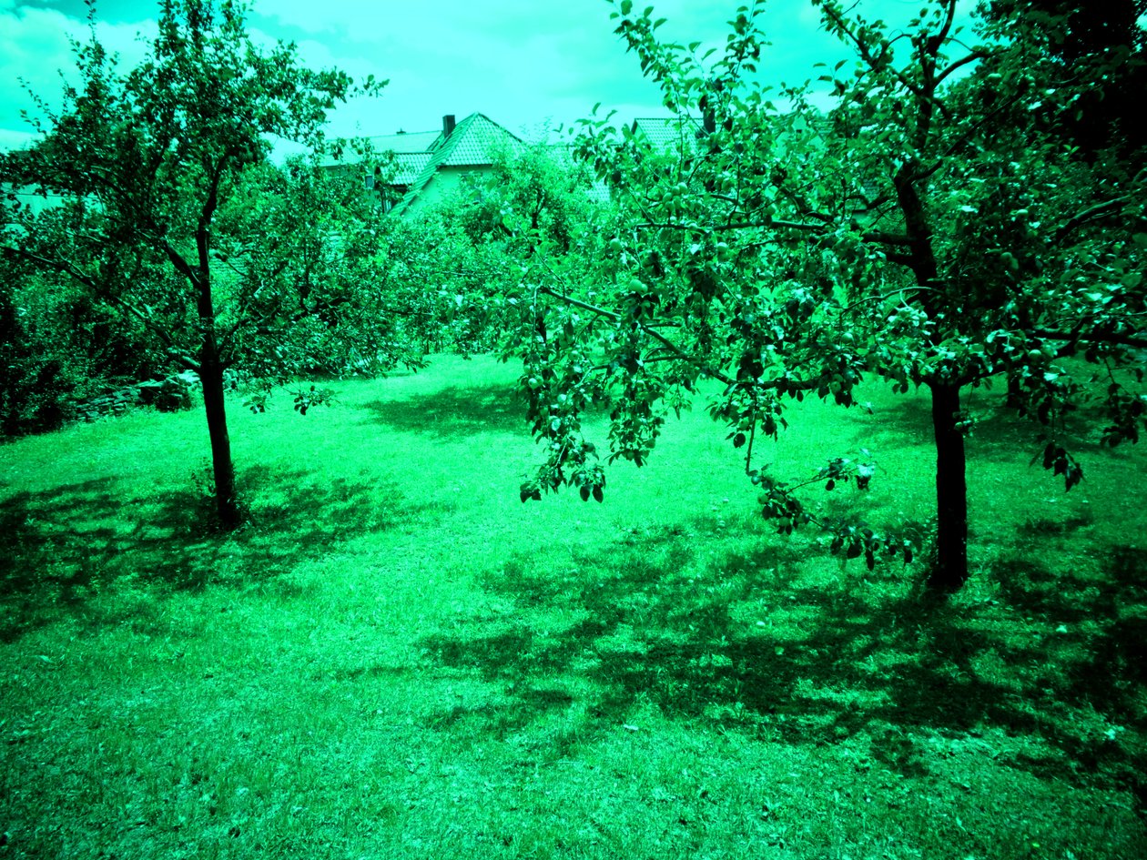 Appelbomen door Martina Konitzky