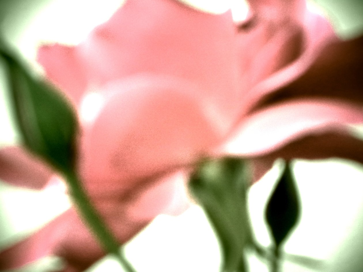 Roze Pastel door Martina Konitzky