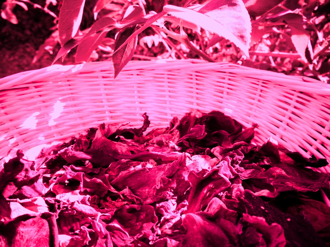 Rozenblaadjes Potpourri door Martina Konitzky
