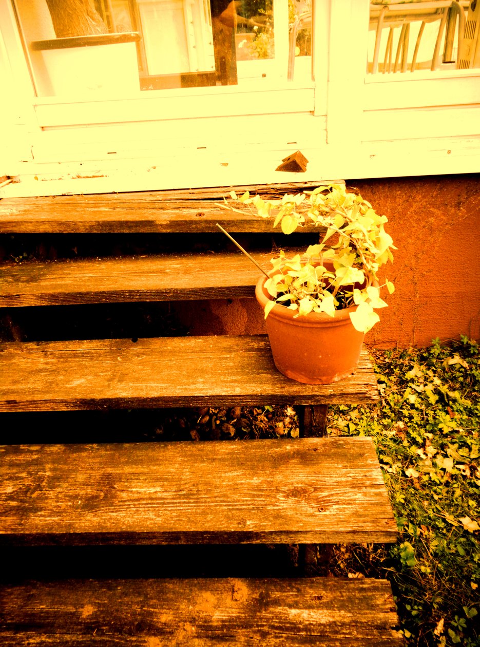 Verandatrap door Martina Konitzky