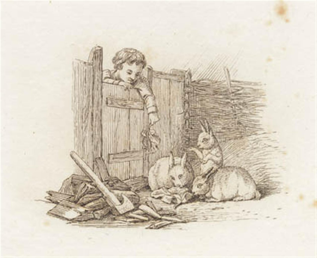 Illustratie voor "Halvhundrede Fabler for Børn" van Hey door Martinus Rørbye