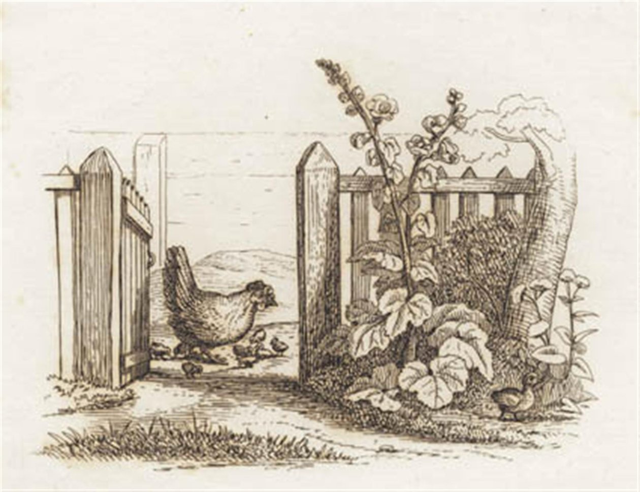 Illustratie voor "Halvhundrede Fabler for Børn" van Hey door Martinus Rørbye