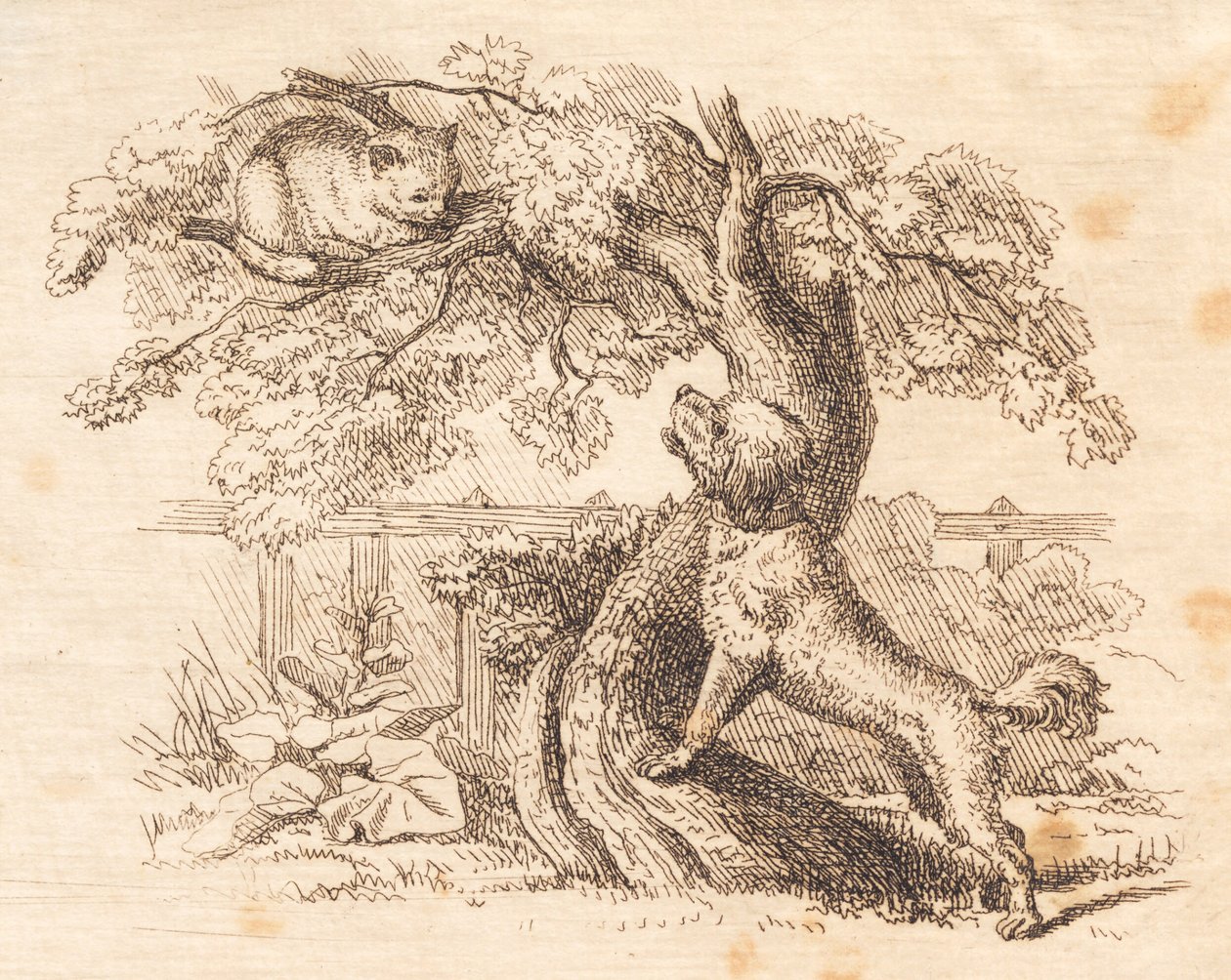 Illustratie voor "Halvhundrede Fabler for Børn" door Hey door Martinus Rørbye
