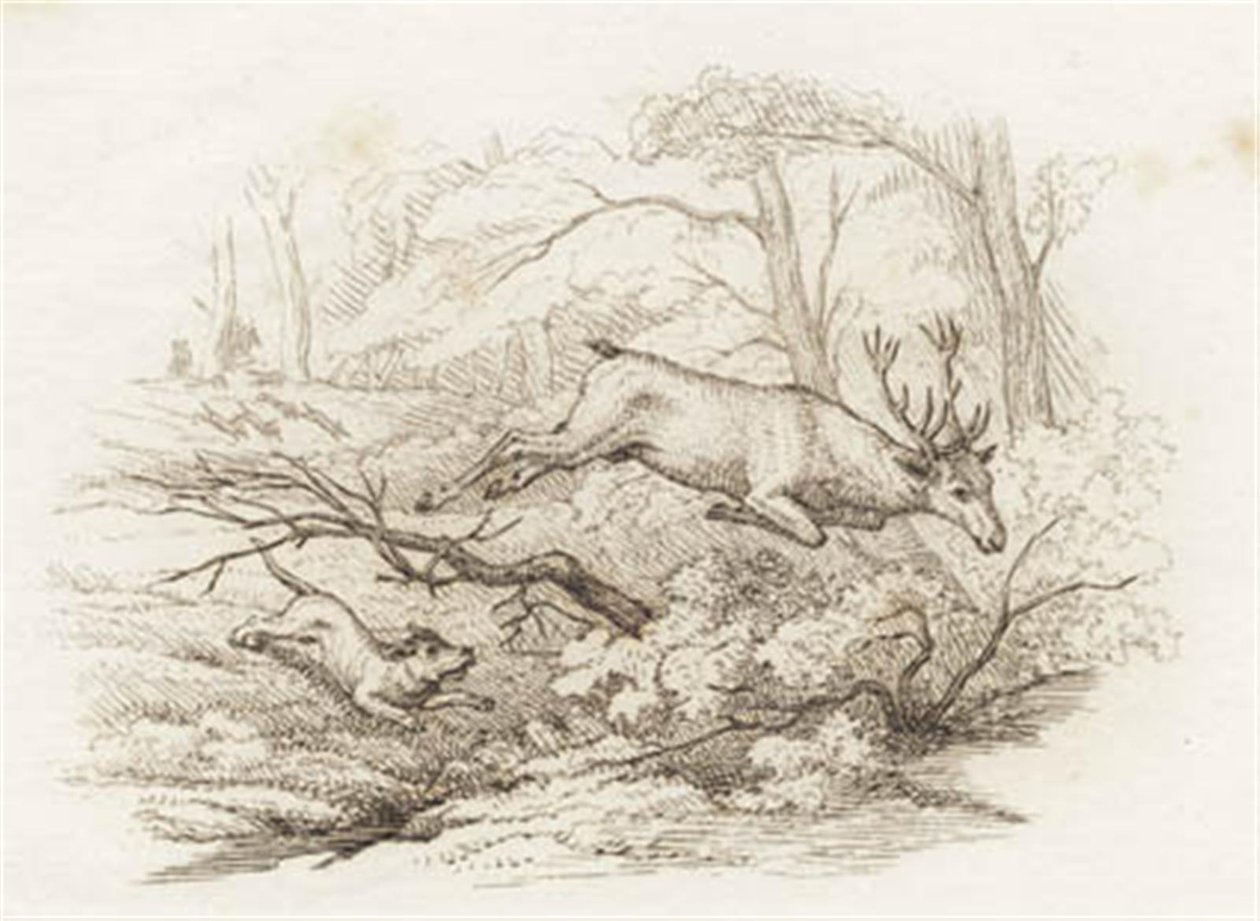 Illustratie voor "Halvhundrede Fabler for Børn" van Hey door Martinus Rørbye