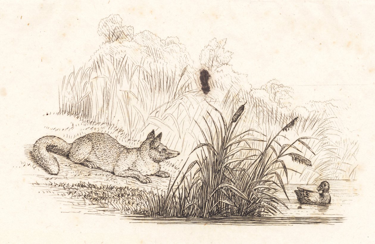 Illustratie bij "Halvhundrede Fabler for Børn" van Hey door Martinus Rørbye