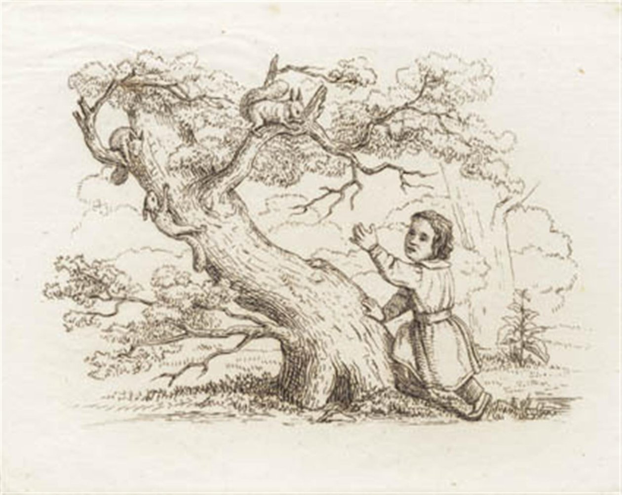 Illustratie voor "Halvhundrede Fabler for Børn" van Hey door Martinus Rørbye