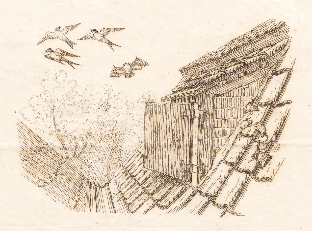 Illustratie voor "Halvhundrede Fabler for Børn" van Hey door Martinus Rørbye