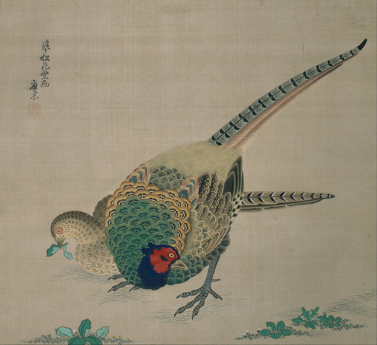 Hangende Rol (paar fazanten) door Maruyama Okyo