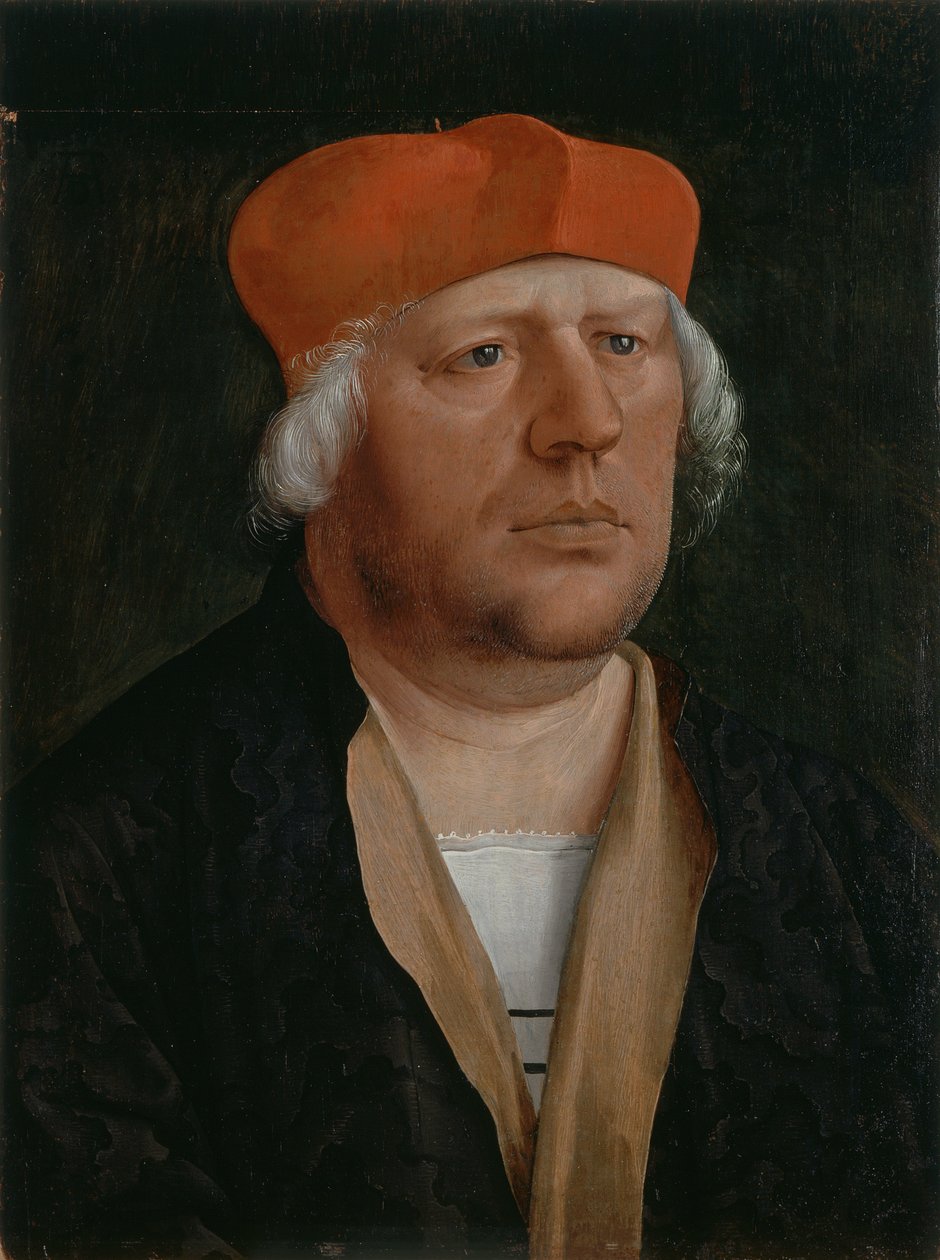 Portret van een kanunnik, ca. 1520 (olieverf op paneel) door Marx Reichlich