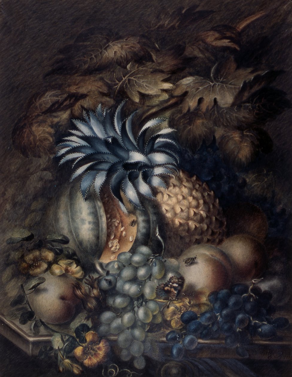 Studie van fruit door Mary Bradley