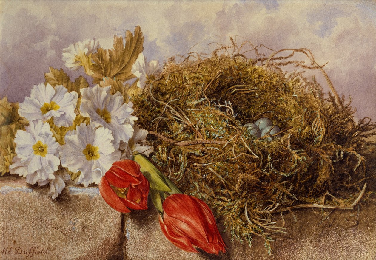Een Stilleven van Bloeiende Tulpen en een Vogelnest op een Richel door Mary Elizabeth Duffield