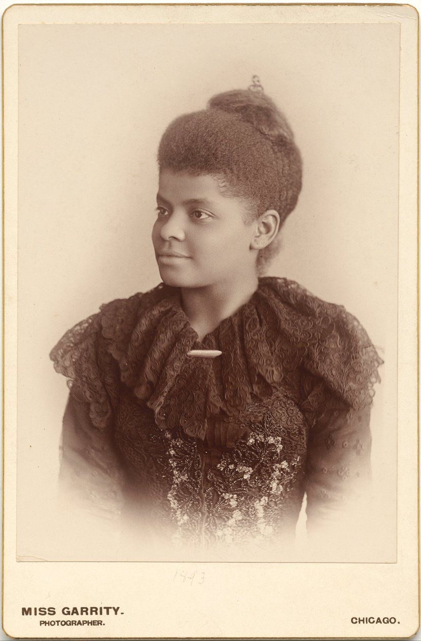 Ida B. Wells-Barnett door Mary Garrity