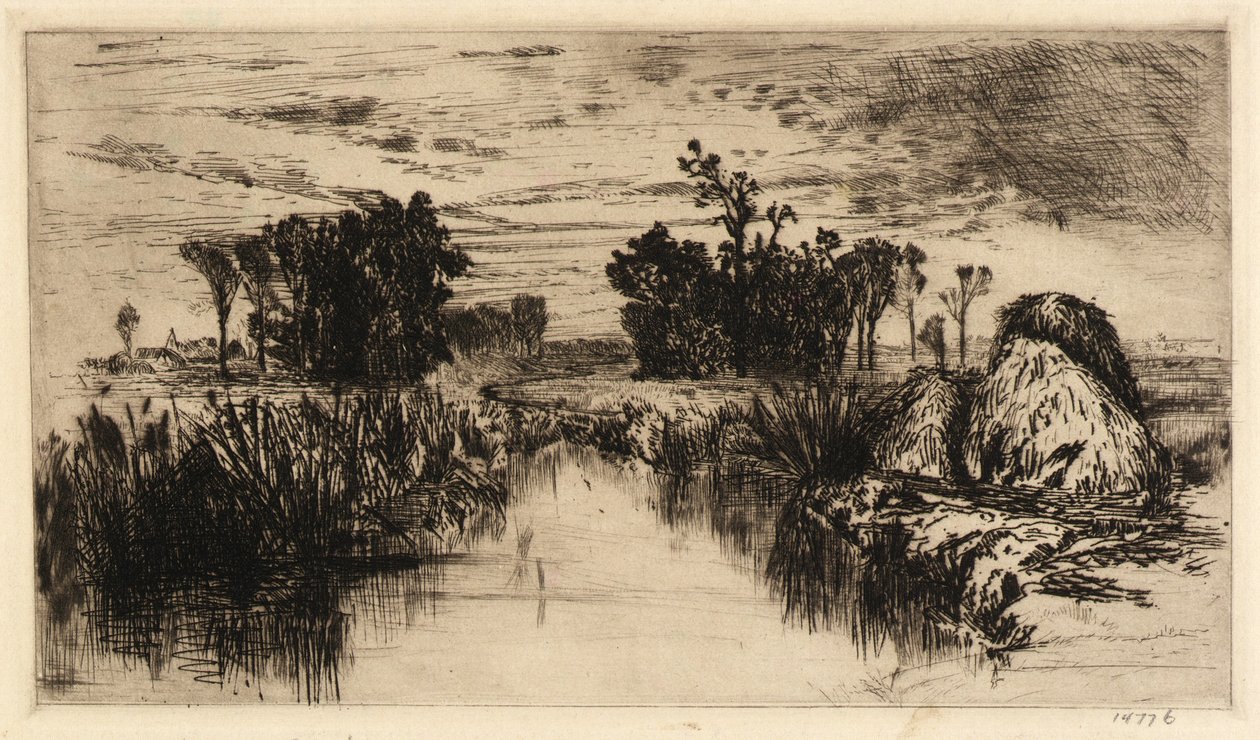 Kattestaarten en bomen door Mary Nimmo Moran