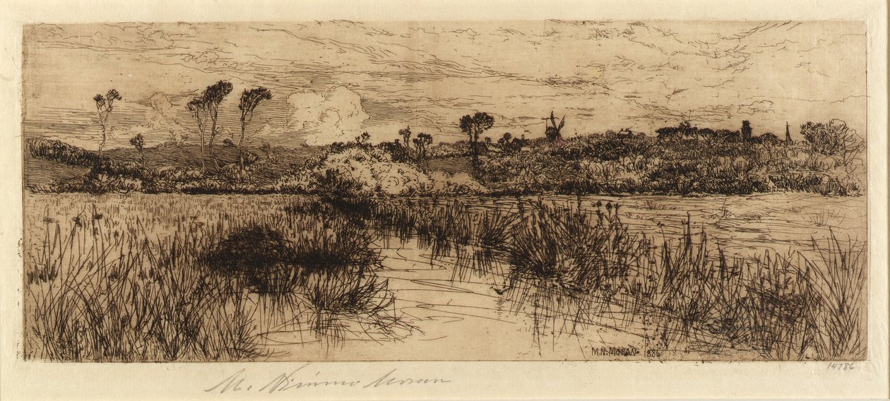 Thuis van de muskusrat door Mary Nimmo Moran