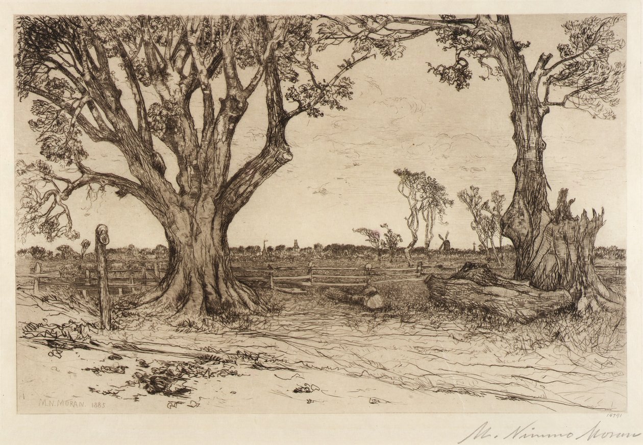 Oude linden - Nabij Easthampton door Mary Nimmo Moran