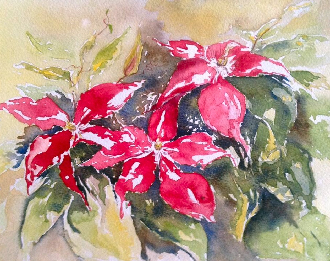 Bordeaux clematis door Mary Smith