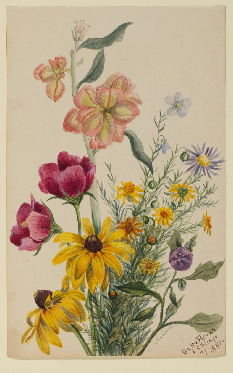 Groep bloemen door Mary Vaux Walcott