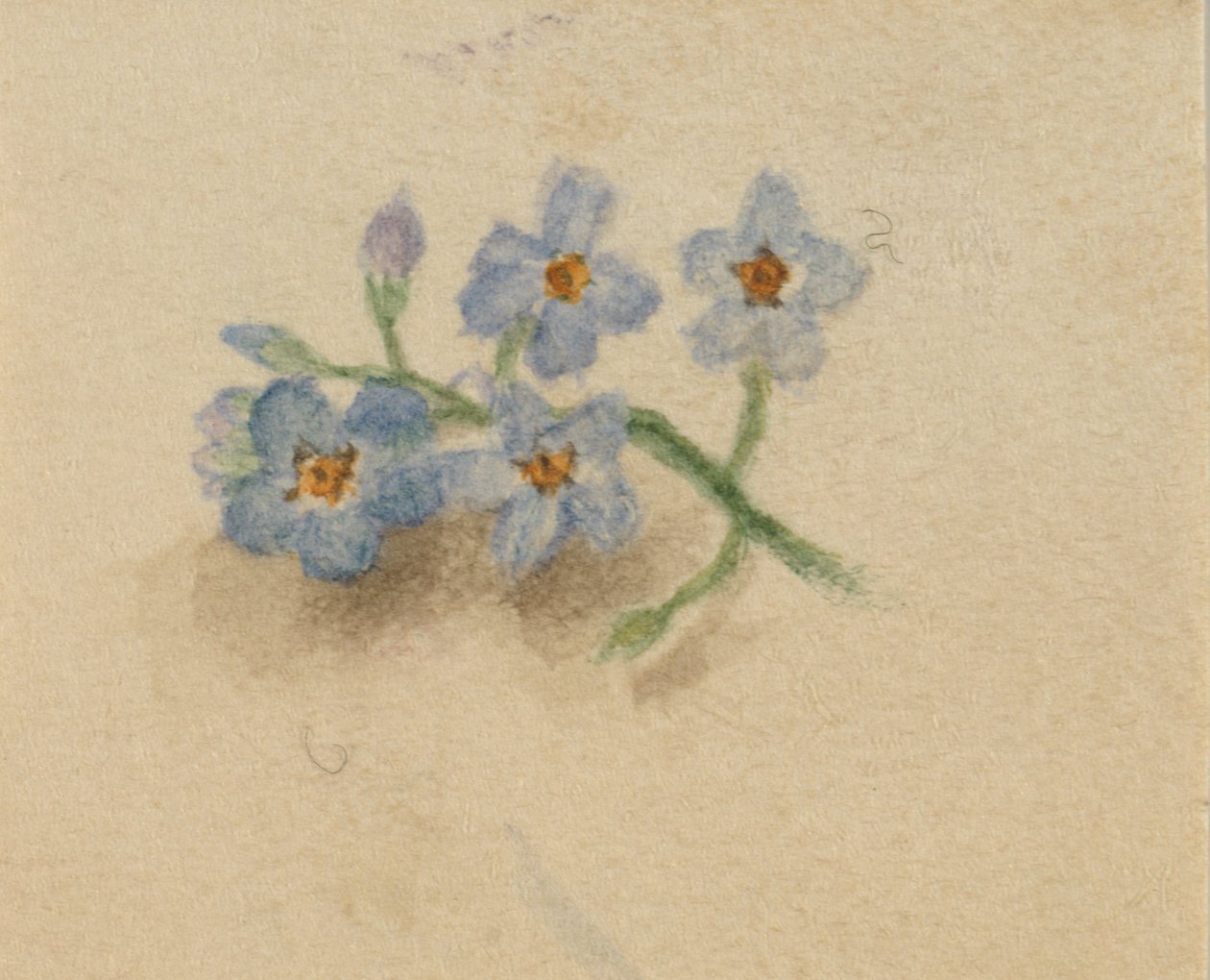 Zonder titel, 1874 door Mary Vaux Walcott