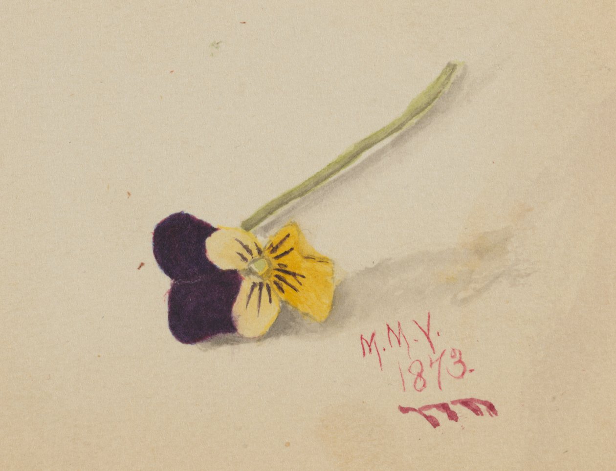Zonder titel, 1873 door Mary Vaux Walcott