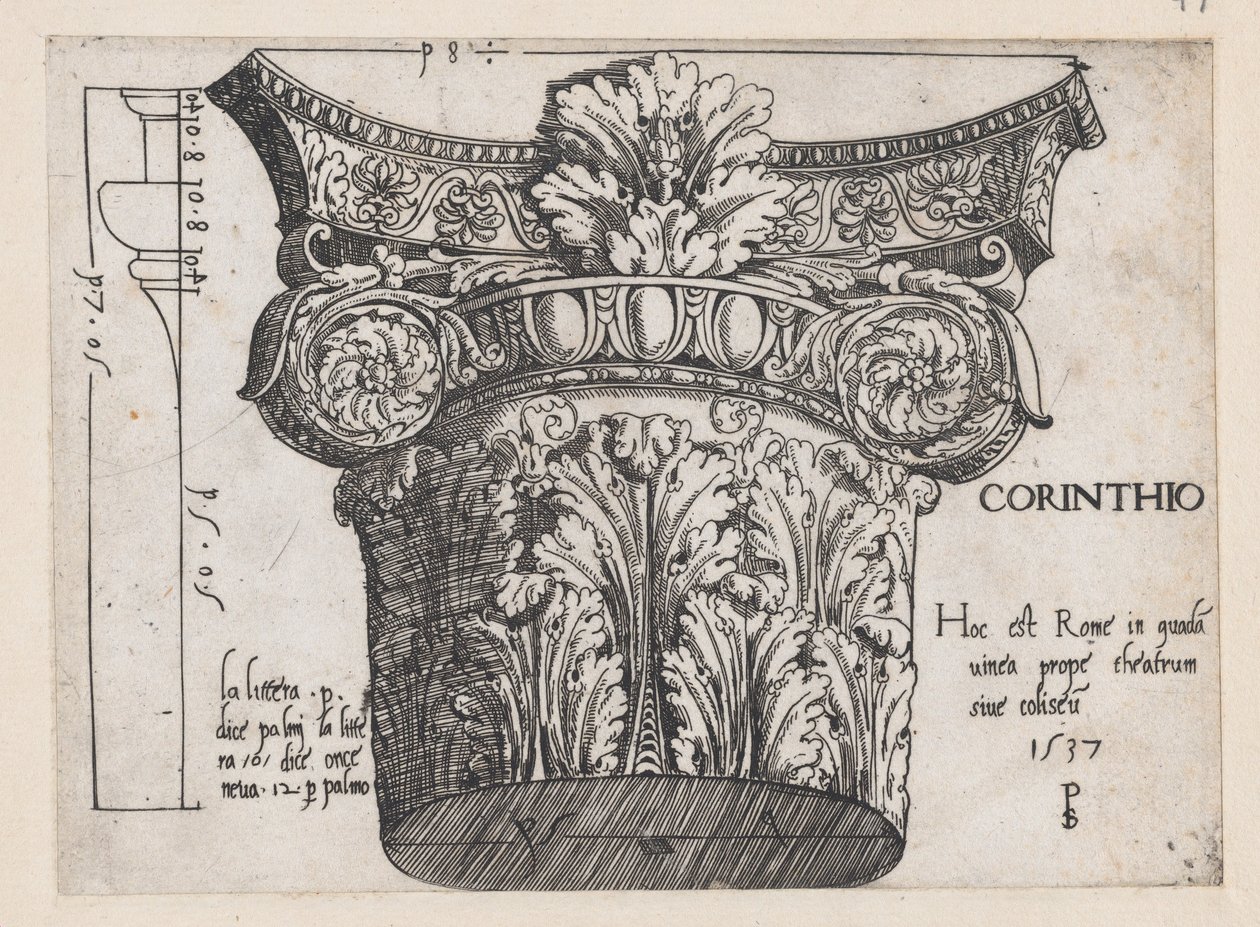 Speculum Romanae Magnificentiae: Korinthisch kapiteel, 1537 door Master PS