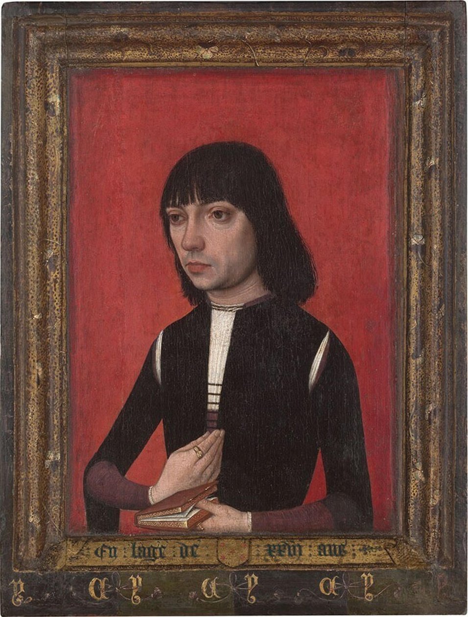 Dutch: Portret van een jonge man uit het geslacht Fonseca Portrait of a Young Man of the Fonseca Family door Master of Portraits of Princes